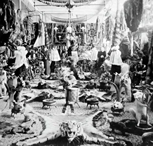 Parlour Prints: Lalibertes Fur Parlour, Quebec, Canada, Victorian period