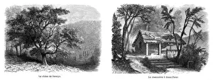 Jocelyn Prints: Lamartine Places