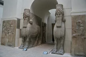 Near Gallery: Lamassu or Bull-man. Gate from Sargon IIs Palace. Dur-Sharr