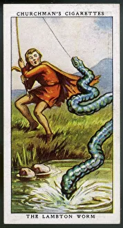 Images Dated 29th July 2015: LAMBTON WORM