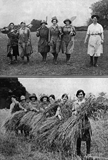 Sheaves Prints: Land Girls bringing in the harvest