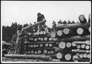 Land Girls with Logs