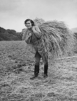<b class=qtipBold><figcaption>Land Girls WWII</figcaption></b><br>Land Girl carrying a bundle of straw for thatching on a farm during World War II<br><em>© Mary Evans/Robert Hunt Collectio</em> Land Girls WWII