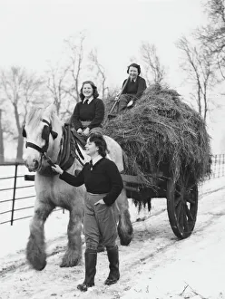 <b class=qtipBold><figcaption>Land Girls WWII</figcaption></b><br>Land Girls, Mrs. Gosden, Miss Peggy Rose and Miss Ivy Baldwin, with a horse and hay cart farming on a farm in Tooting during World War II<br><em>© Mary Evans/Robert Hunt Collectio</em> Land Girls WWII
