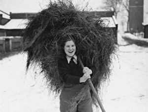 <b class=qtipBold><figcaption>Land Girls WWII</figcaption></b><br>A Land Girl carrying hay at a farm in Tooting during World War II<br><em>© Mary Evans/Robert Hunt Collectio</em> Land Girls WWII