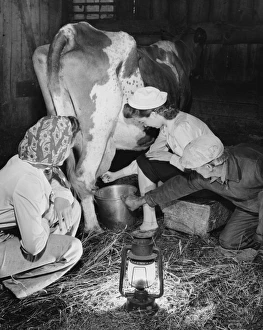 <b class=qtipBold><figcaption>Land Girls WWII</figcaption></b><br>Land Girls millking cows on a farm during World War II<br><em>© Mary Evans/Robert Hunt Collectio</em> Land Girls WWII