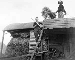 <b class=qtipBold><figcaption>Land Girls WWII</figcaption></b><br>Land Girls working on a farm during World War II<br><em>© Mary Evans/Robert Hunt Collectio</em> Land Girls WWII
