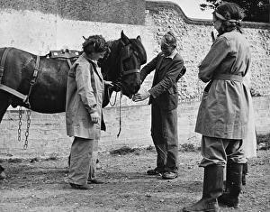 <b class=qtipBold><figcaption>Land Girls WWII</figcaption></b><br>Land Girls learning to work with horses on a farm during World War II<br><em>© Mary Evans/Robert Hunt Collectio</em> Land Girls WWII