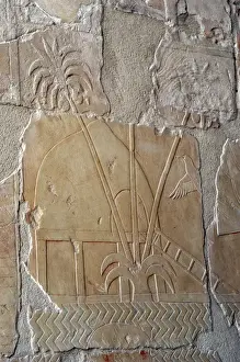 The Land of Punt. Temple of Hatshepsut. Deir el-Bahari. Eg