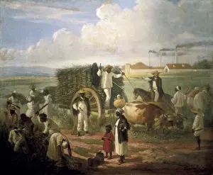 Costumbrism Prints: LANDALUZE, Victor Patricio de (1829-1889). Reed