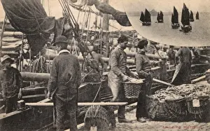 Minehead Prints: Landing Herring at Minehead, Somerset (and the fleet)