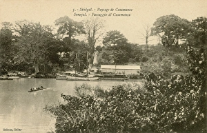 Senegalese Gallery: Landing stage at the Casamance River, Senegal