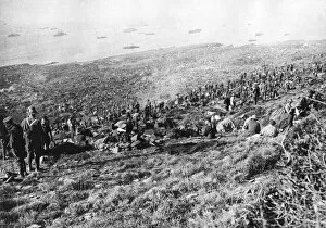 Campaign Collection: Landing at Suvla Bay, Gallipoli, 1915