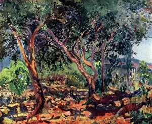Landscape