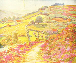 Landscape