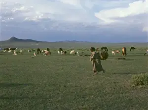 Burd Prints: Landscape at Burd, Mongolia