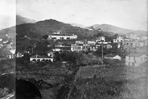 Landscape in Madeira