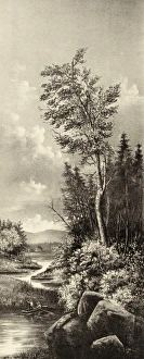 Images Dated 17th May 2011: Landscape - Morning