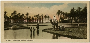 Landscape near Pyramids