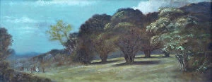 Gertrude Collection: Landscape painting by Gertrude Jekyll