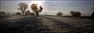 Landscape Panorama