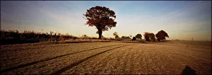 Landscape Panorama