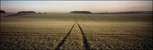 Landscape Panorama
