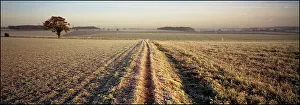 Landscape Panorama