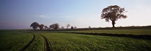 Landscape Panorama