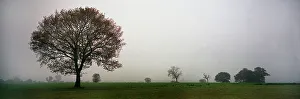 Landscape Panorama