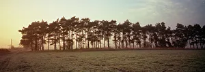 Landscape Panorama