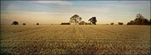 Landscape Panorama