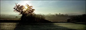 Landscape Panorama