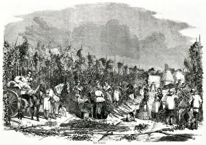 Landscape Scene of Hop Picking 1858