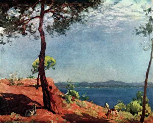 Landscape with Sea View