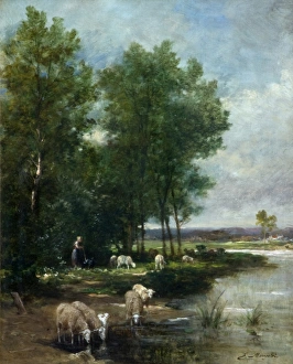 Images Dated 31st August 2010: Landscape with Sheep