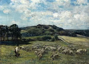Images Dated 1st September 2010: Landscape with Sheep