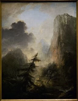 Images Dated 11th July 2015: Landscape with Spruce, c.1780, by Elias Martin