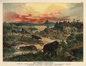 Mineralogy Prints: Landscape in Tertiary era Europe