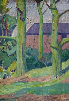 Images Dated 10th September 2010: Landscape with Trees