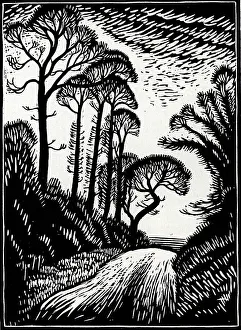 Grassy Collection: The Lane