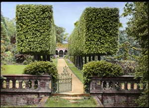 Aldenham Gallery: The Lane at Aldenham House, Hertfordshire