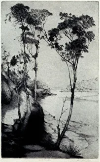On The Lane Cove
