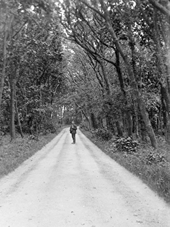 Lane near Whitchurch, Solva, Pembrokeshire, South Wales