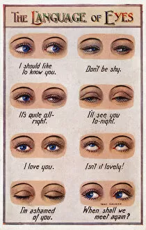 Lovely Collection: The Language of Eyes