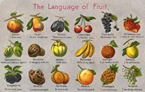 Pear Collection: The Language of Fruit