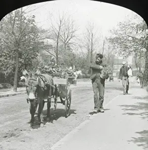 Lantern Slide Series - Bygones
