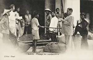 Laos Prints: Laos - Sacks of cardamom being weighed