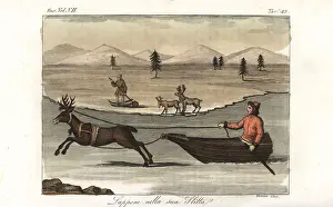 Sled Prints: Lapp in a sleigh pulled by a reindeer