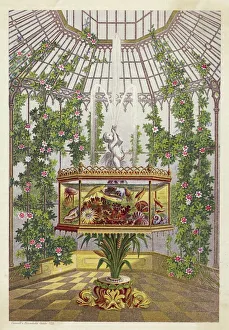 Images Dated 10th October 2007: A large conservatory containing an aquarium